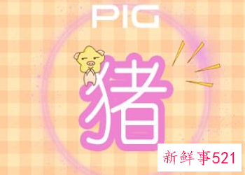 属猪的什么颜色最旺最吉利2022年