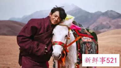 丁真为啥能走红