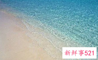 梦见海岸边什么意思