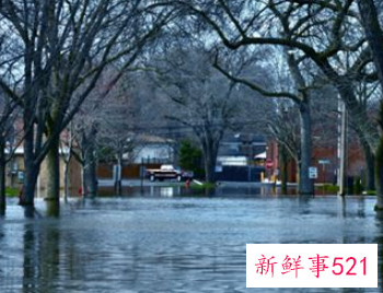 女人做梦梦到很大的水