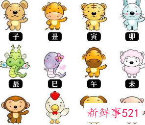 最旺夫的生肖女