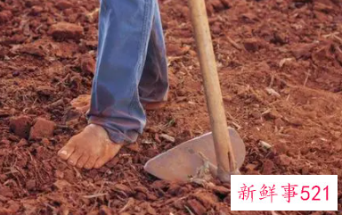 梦见播种是什么意思