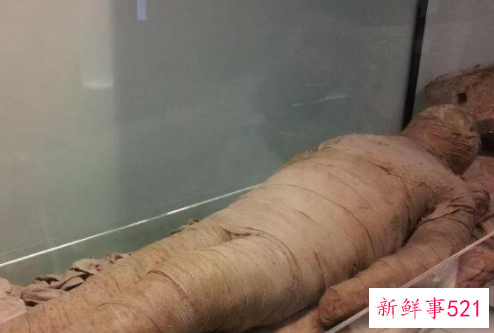 为什么会形成木乃伊