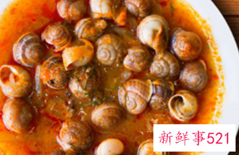 海螺怎么存放时间长