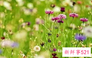 十二星座女有多痴情