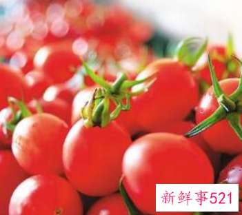 圣女果是转基因食品吗本文为您解惑