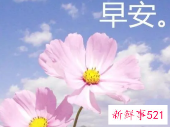 女生主动说早安什么意思