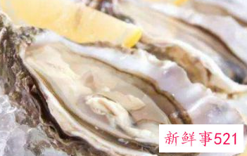 一箱生蚝怎样保存时间长