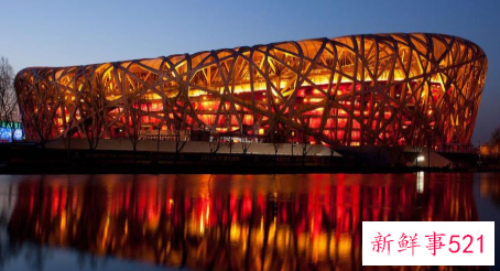 梦见鸟巢的周公解梦