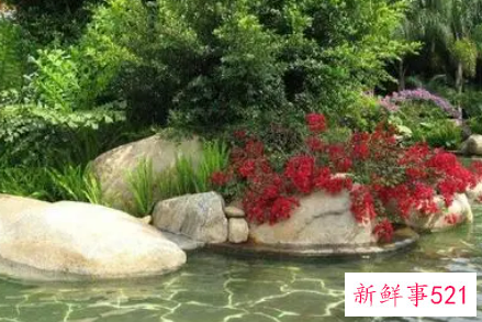 梦见大水池是什么意思呢