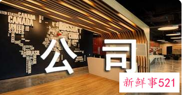 对公司的建议和意见简短