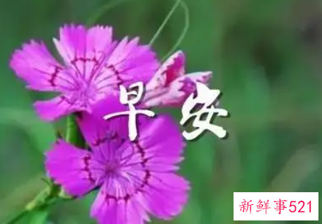 早上情侣的早安问候语