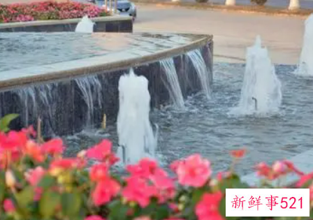 梦见大水池是什么意思呢