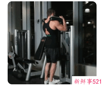 健身方面的专业知识