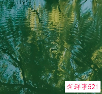 照片涂抹感严重