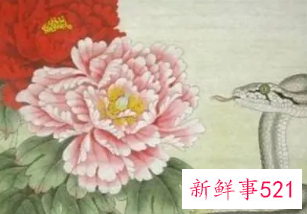 属蛇男最喜欢的女人是谁