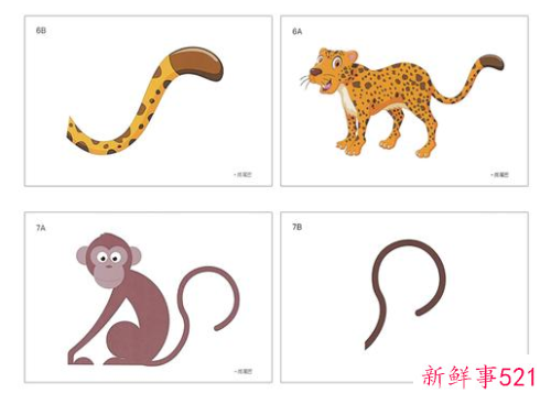 动物的尾巴都有什么作用