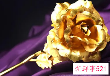 寓意爱情长久的礼物