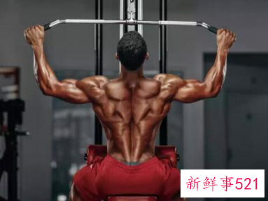 健身方面的专业知识