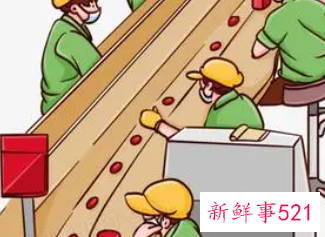 对自己明年的工作计划