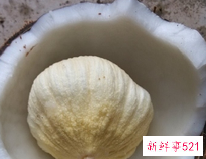 椰子怎么吃椰肉