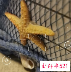 照片涂抹感严重