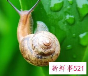 照片涂抹感严重