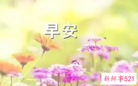 早上情侣的早安问候语