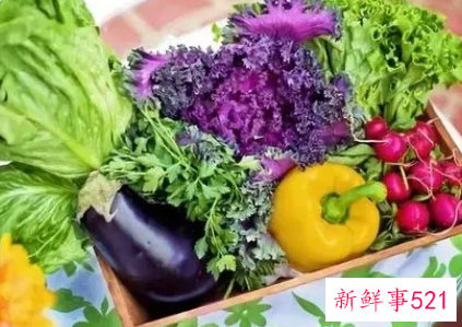 怎样让青菜保鲜更长久