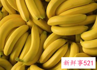 香蕉冷库的建造及储藏方法