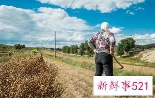 女人梦见接到活干