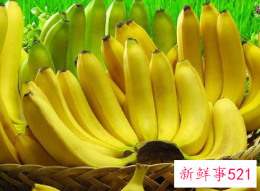 香蕉冷库的建造及储藏方法