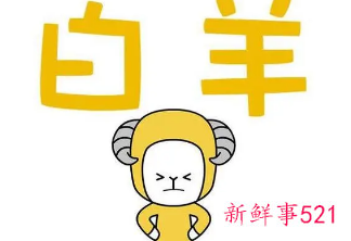 白羊座聪明还是傻