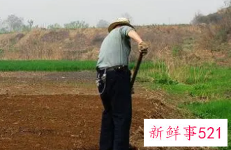 女人梦见接到活干