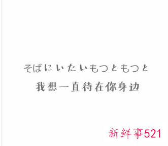 爱情的情话短句