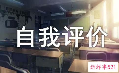 履职尽责自我评价