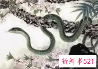 属蛇男最喜欢的女人是谁