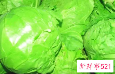 卷心菜放冰箱可以保存多久