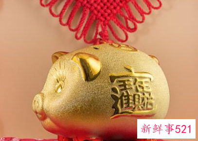 属猴与猪能不能结婚