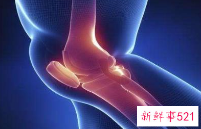 长期跑步膝盖如何保护膝盖