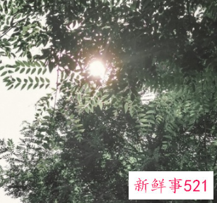 照片涂抹感严重