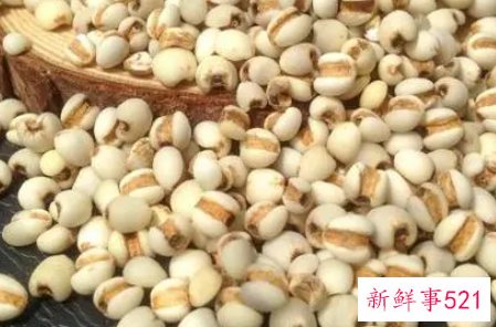 各种米的功效有哪些