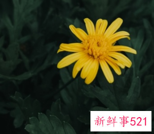 照片涂抹感严重