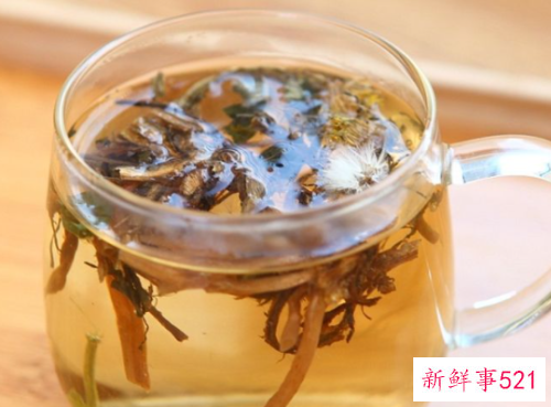 女人喝蒲公英茶的用途及忌讳