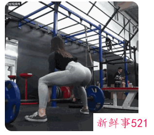 健身方面的专业知识