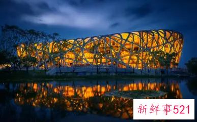 梦见鸟巢的周公解梦