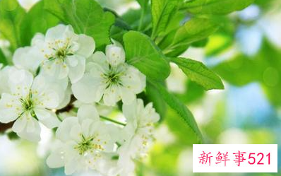 先兆流产一直出血怎么办