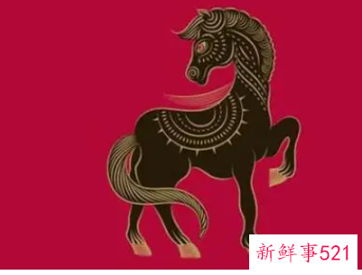 属马的人不能住哪个方向