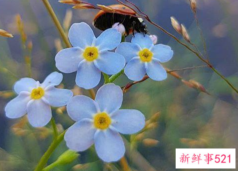 特别暖心的早安句子