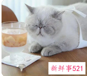 天天很困什么原因